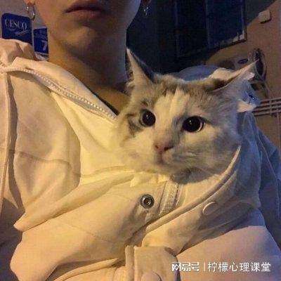 热血神剑官方小米版下载